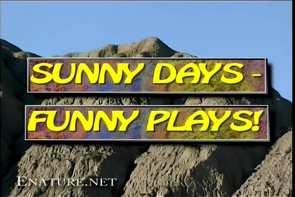 Enature - Sunny Days – Funny Plays - A resort for nature lovers
